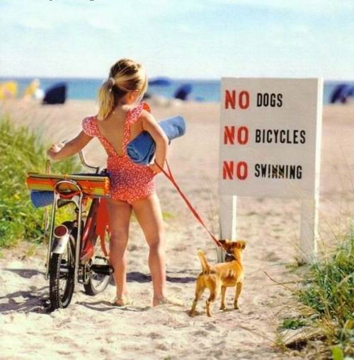 http://asimonis.files.wordpress.com/2010/05/me_326_no_swim_dogs_bicycle.jpg?w=500